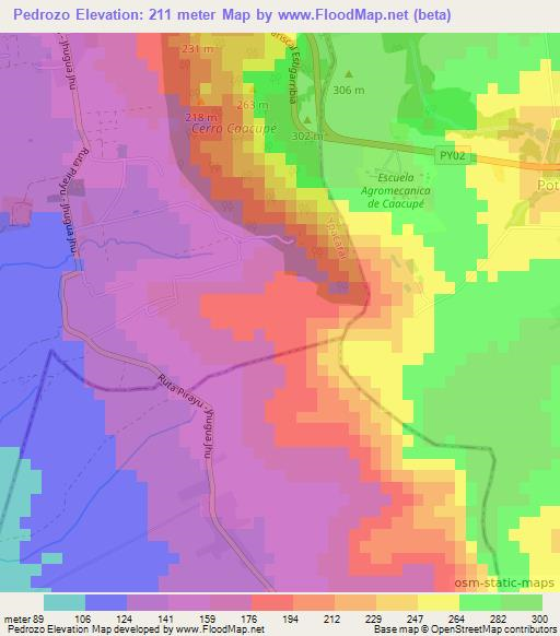 Pedrozo,Paraguay Elevation Map