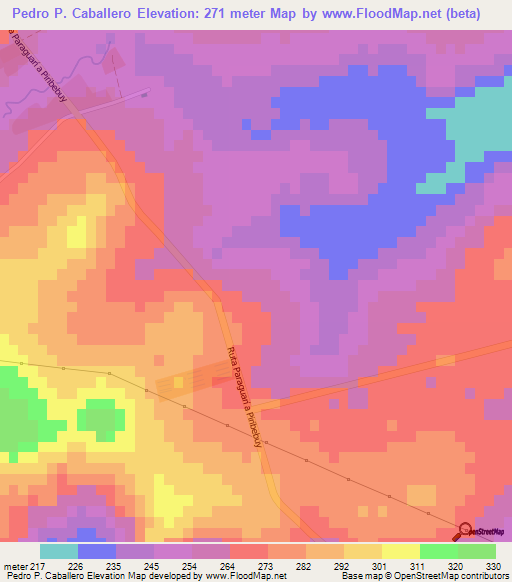 Pedro P. Caballero,Paraguay Elevation Map