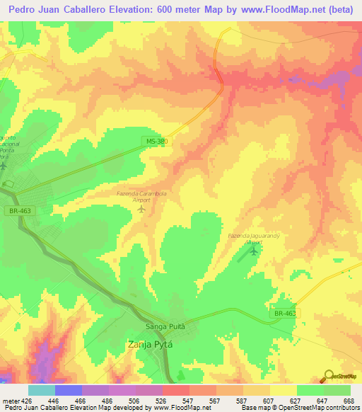 Pedro Juan Caballero,Paraguay Elevation Map