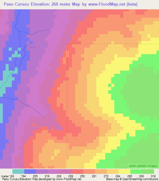 Paso Curuzu,Paraguay Elevation Map