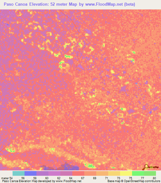 Paso Canoa,Paraguay Elevation Map