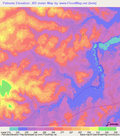 Palmeta,Paraguay Elevation Map