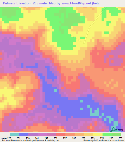 Palmeta,Paraguay Elevation Map