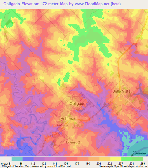 Obligado,Paraguay Elevation Map