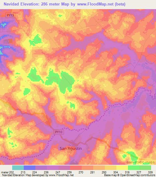 Navidad,Paraguay Elevation Map