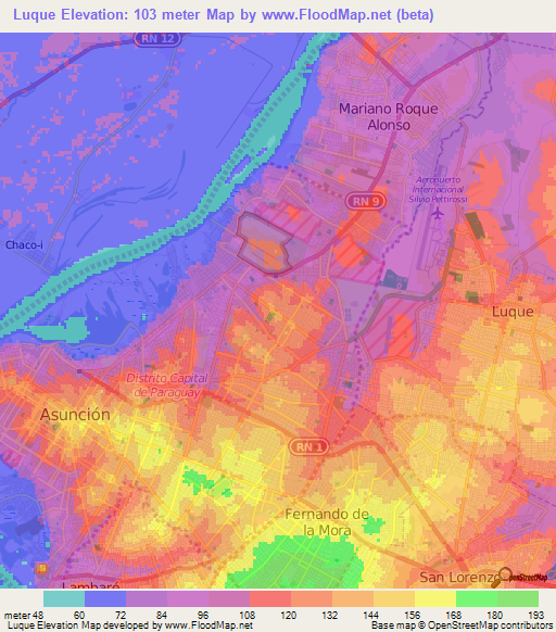 Luque,Paraguay Elevation Map