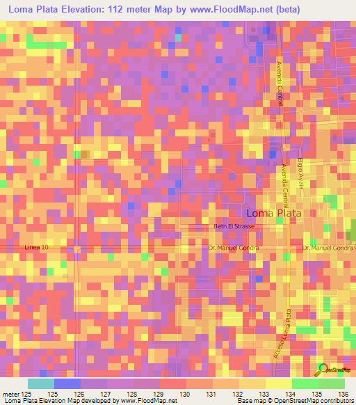 Loma Plata,Paraguay Elevation Map