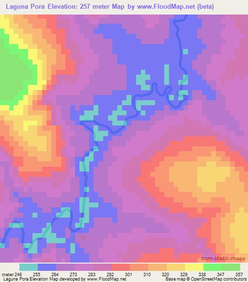 Laguna Pora,Paraguay Elevation Map