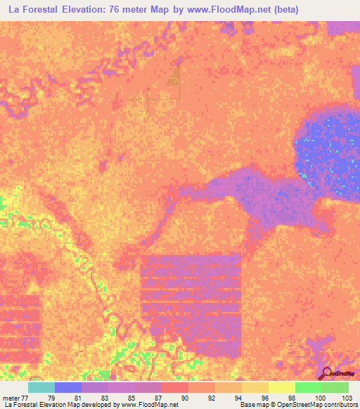 La Forestal,Paraguay Elevation Map