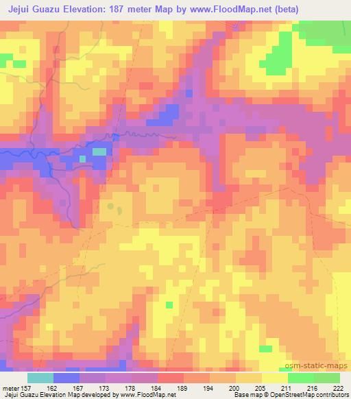 Jejui Guazu,Paraguay Elevation Map