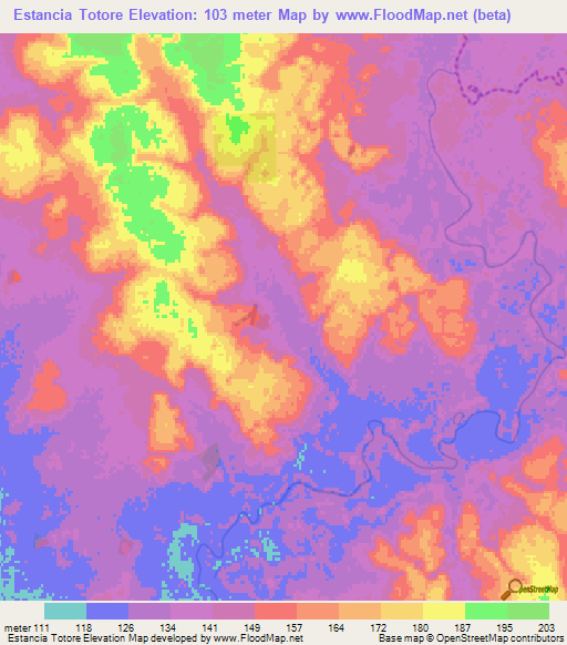 Estancia Totore,Paraguay Elevation Map
