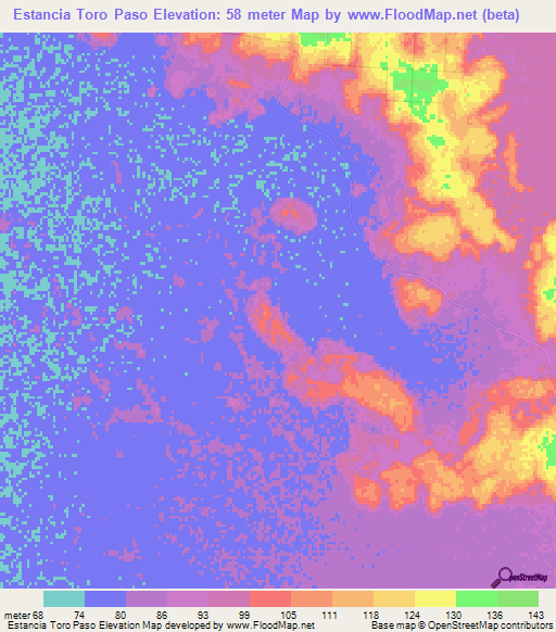 Estancia Toro Paso,Paraguay Elevation Map