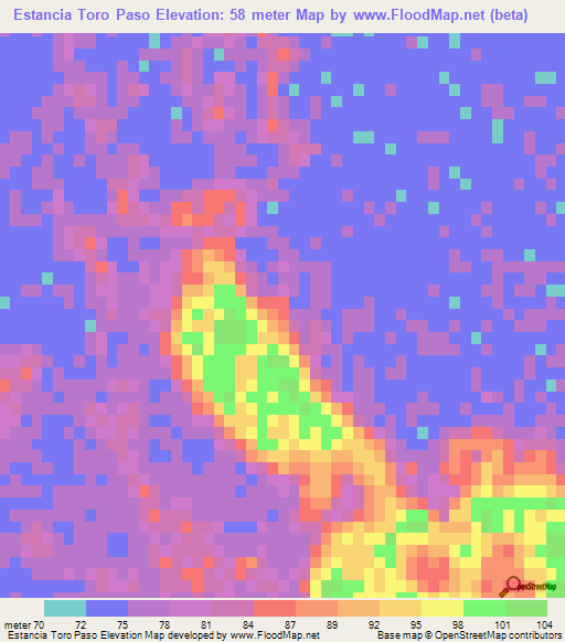 Estancia Toro Paso,Paraguay Elevation Map