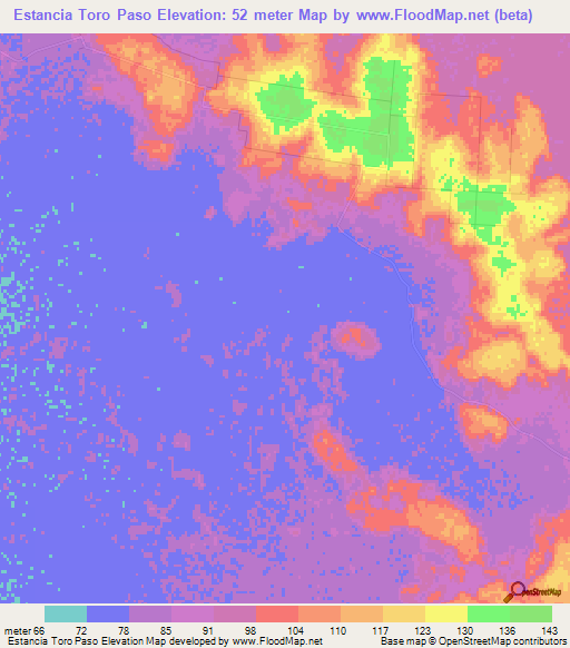 Estancia Toro Paso,Paraguay Elevation Map