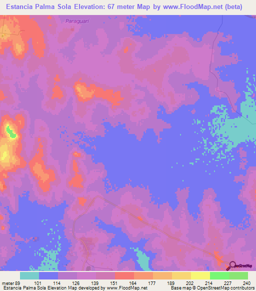 Estancia Palma Sola,Paraguay Elevation Map