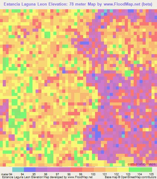 Estancia Laguna Leon,Paraguay Elevation Map