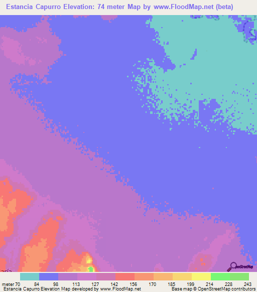 Estancia Capurro,Paraguay Elevation Map