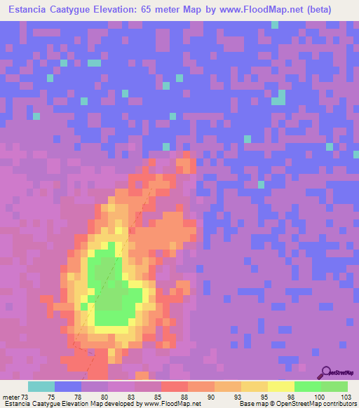 Estancia Caatygue,Paraguay Elevation Map