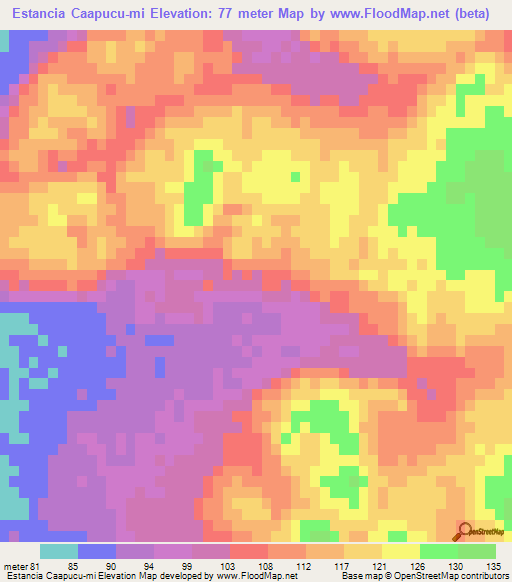 Estancia Caapucu-mi,Paraguay Elevation Map