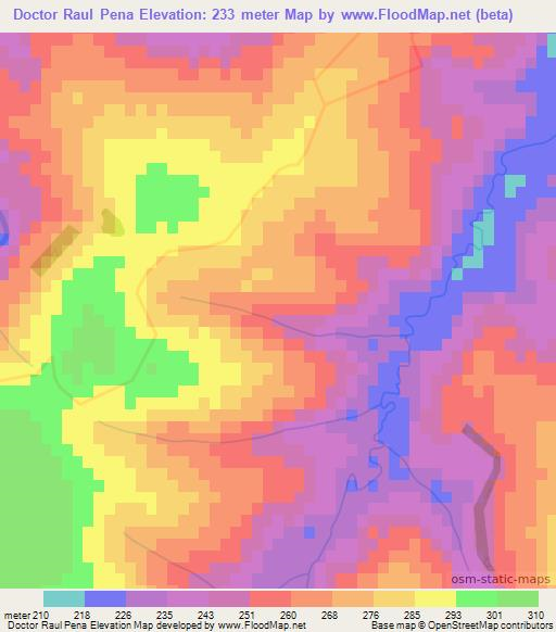 Doctor Raul Pena,Paraguay Elevation Map
