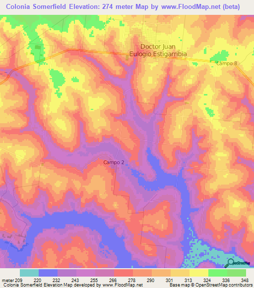 Colonia Somerfield,Paraguay Elevation Map