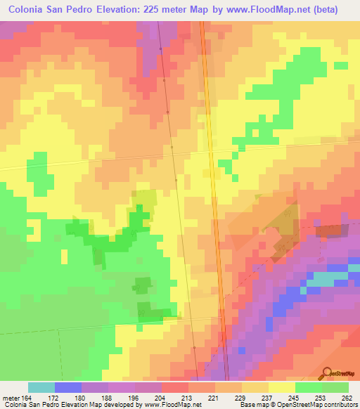 Colonia San Pedro,Paraguay Elevation Map