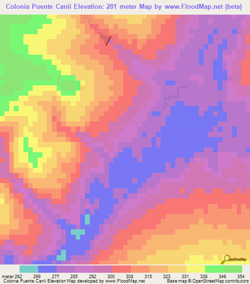 Colonia Puente Canii,Paraguay Elevation Map