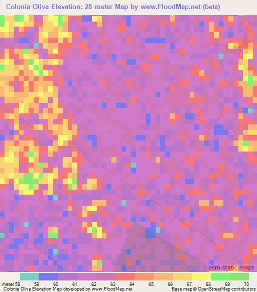 Colonia Oliva,Paraguay Elevation Map