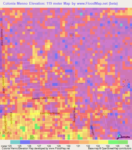 Colonia Menno,Paraguay Elevation Map