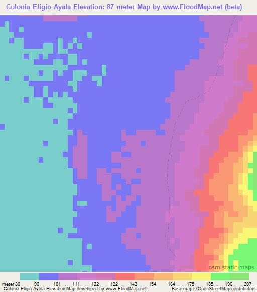 Colonia Eligio Ayala,Paraguay Elevation Map