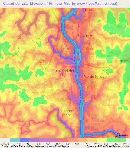 Ciudad del Este,Paraguay Elevation Map