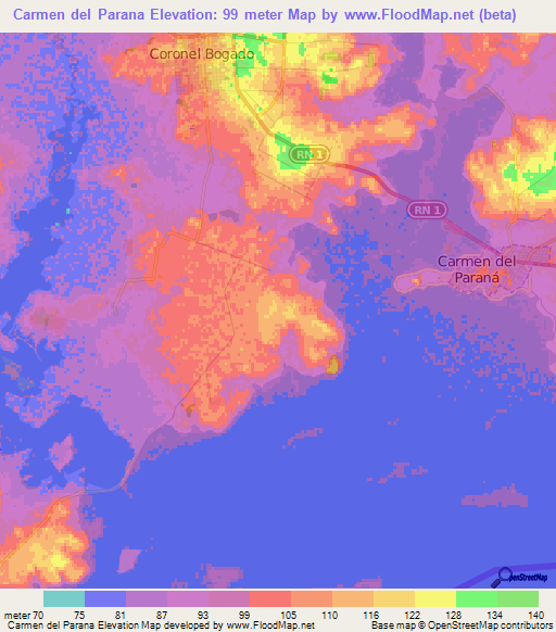 Carmen del Parana,Paraguay Elevation Map