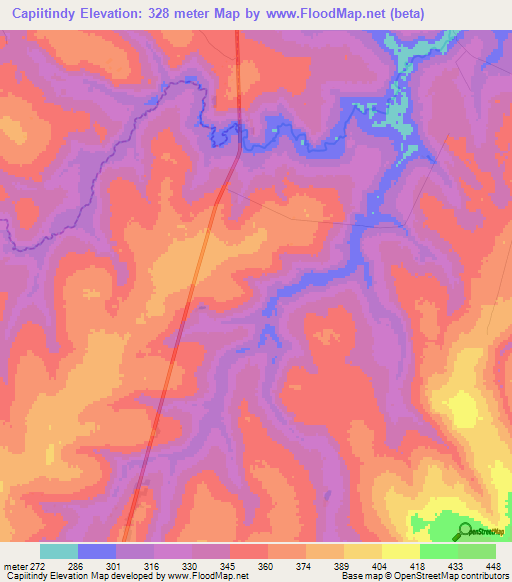 Capiitindy,Paraguay Elevation Map