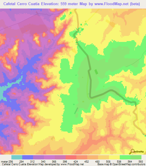 Cafetal Cerro Cuatia,Paraguay Elevation Map