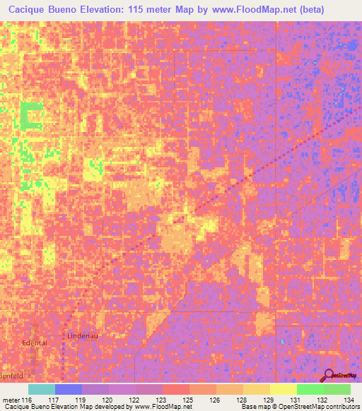 Cacique Bueno,Paraguay Elevation Map