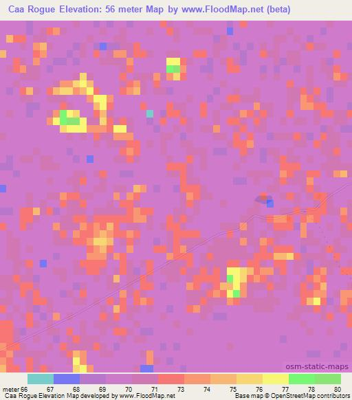Caa Rogue,Paraguay Elevation Map