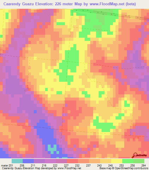 Caarendy Guazu,Paraguay Elevation Map