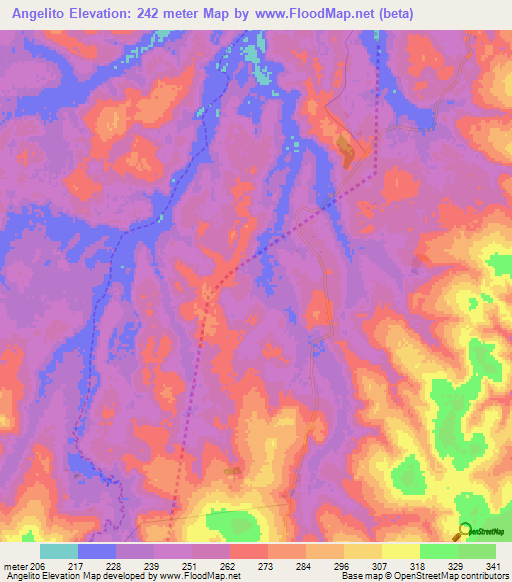Angelito,Paraguay Elevation Map