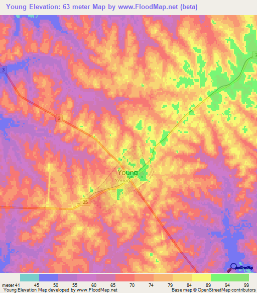 Young,Uruguay Elevation Map
