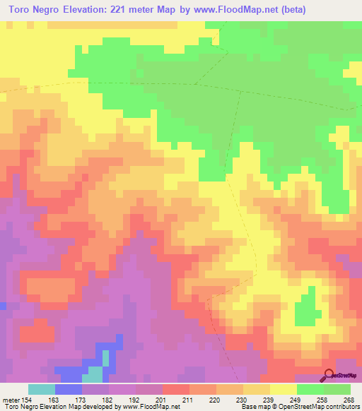Toro Negro,Uruguay Elevation Map