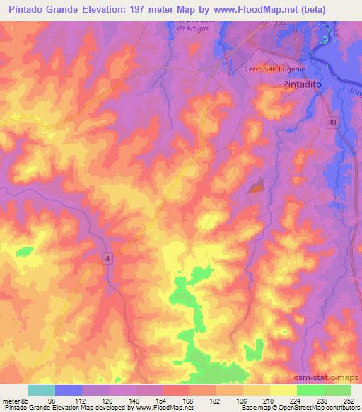 Pintado Grande,Uruguay Elevation Map
