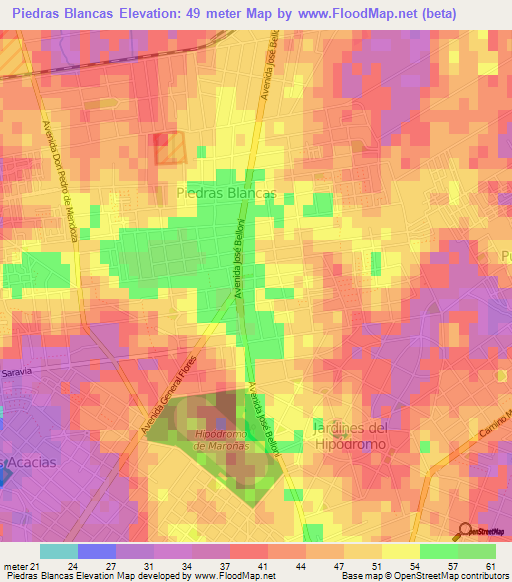 Piedras Blancas,Uruguay Elevation Map