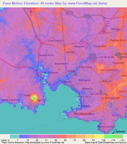 Paso Molino,Uruguay Elevation Map