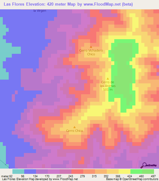 Las Flores,Uruguay Elevation Map