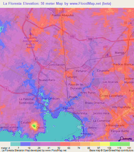 La Floresta,Uruguay Elevation Map