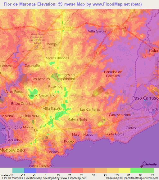 Flor de Maronas,Uruguay Elevation Map