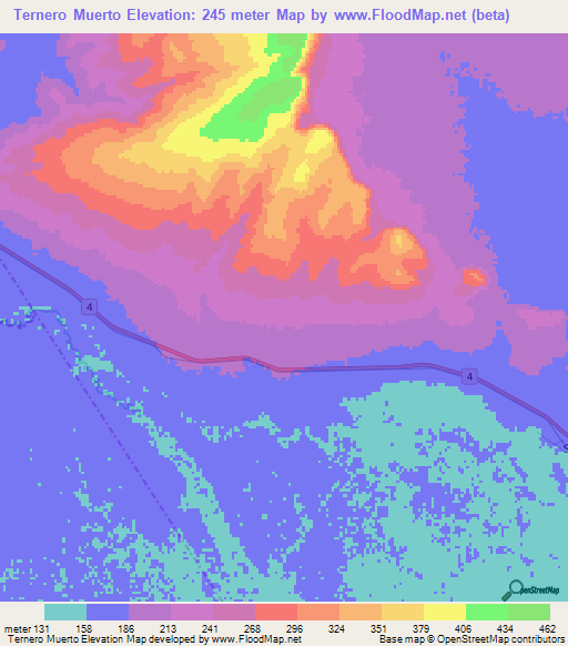Ternero Muerto,Bolivia Elevation Map