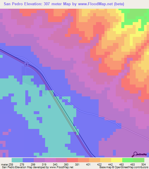 San Pedro,Bolivia Elevation Map