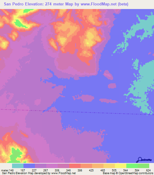 San Pedro,Bolivia Elevation Map