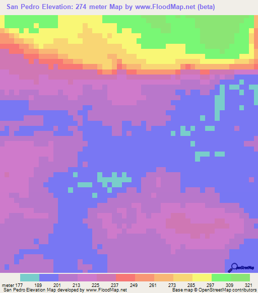 San Pedro,Bolivia Elevation Map
